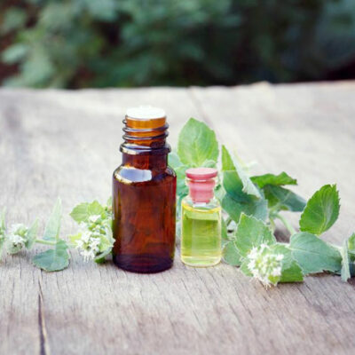 Essential Oils That are Safe for Pets