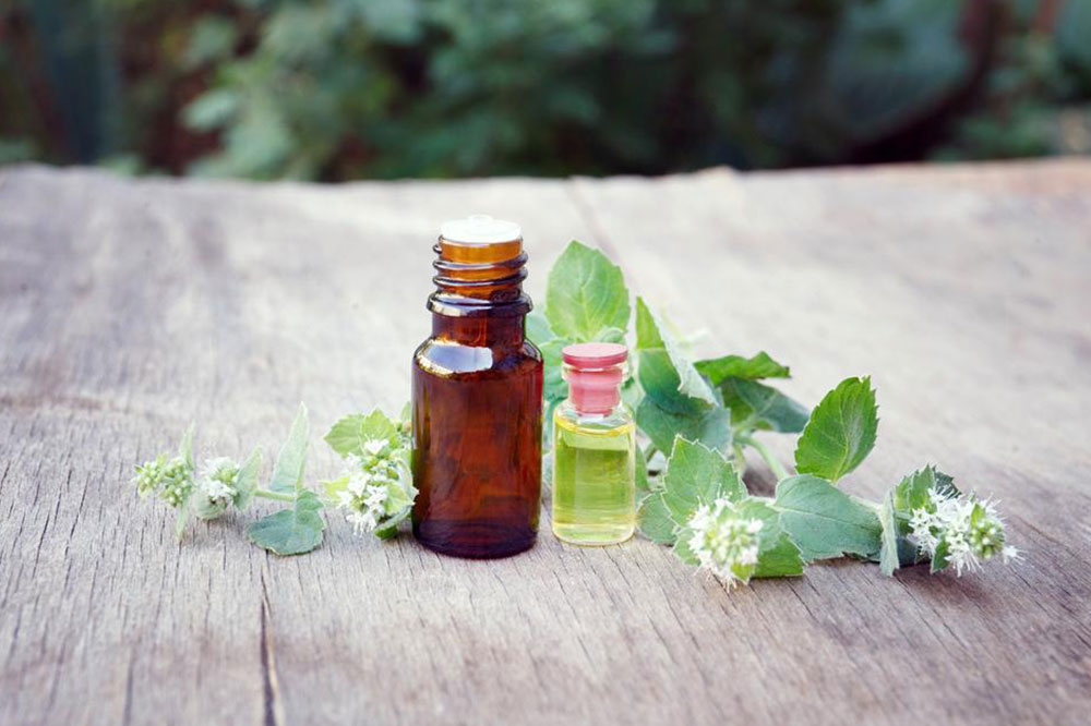 Essential Oils That are Safe for Pets