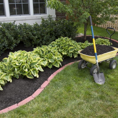 5 Hacks to Make Yard Work Easy