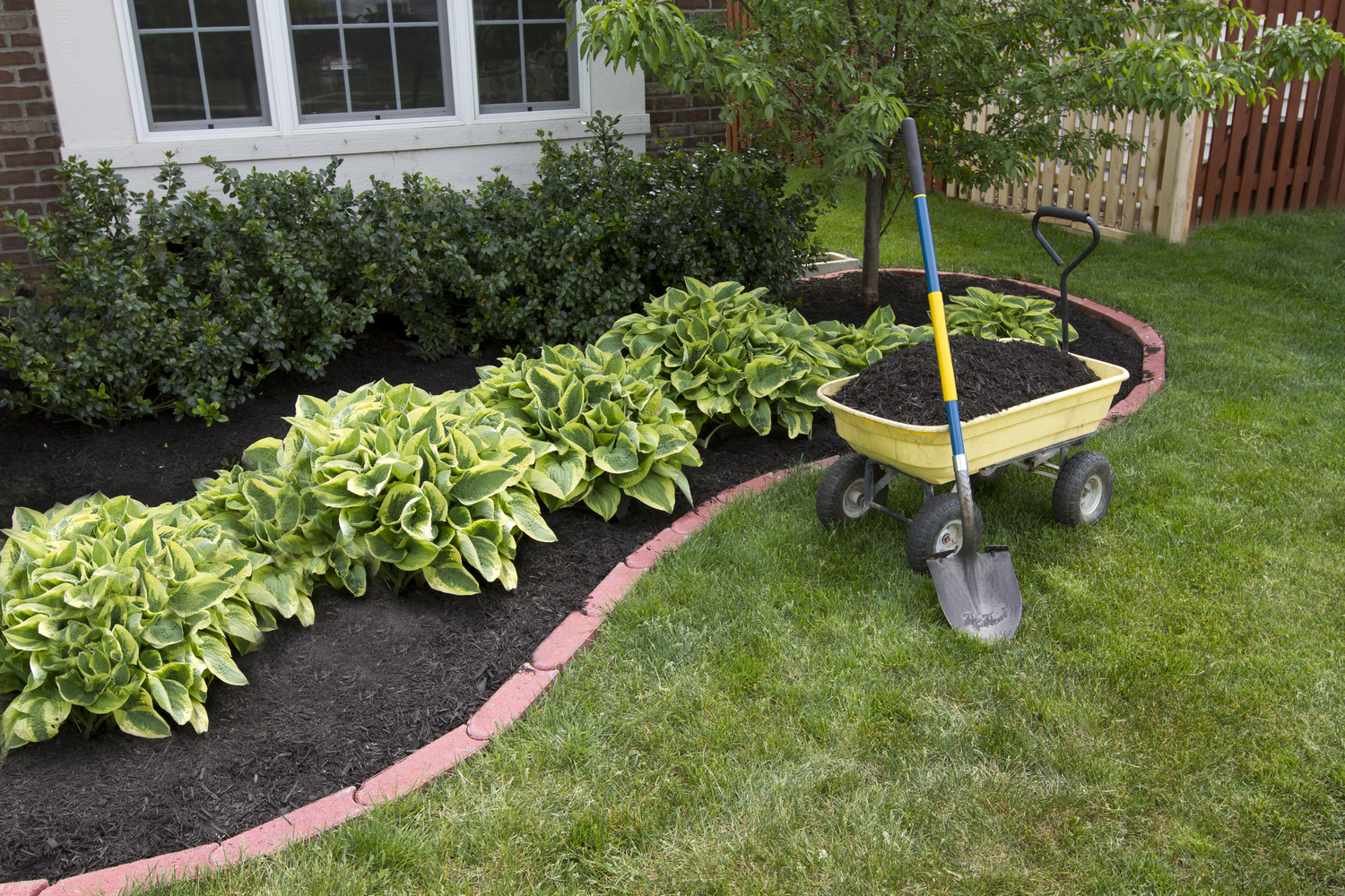 5 Hacks to Make Yard Work Easy